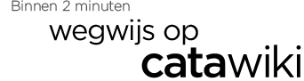Binnen 2 minuten wegwijs binnen Catawiki